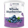 Freeze Dried Whole Blueberries Can, 26 Servings